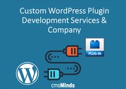 Custom WordPress Plugin Development Services & Company