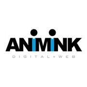 Custom Ecommerce Software Design Company - Animink